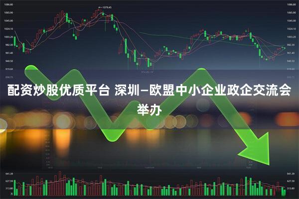 配资炒股优质平台 深圳—欧盟中小企业政企交流会举办